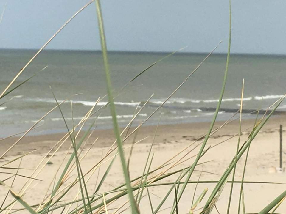 Stacaravan 4Pers In Bredene Met Eigen Tuintje 2449 Zewnętrze zdjęcie